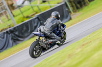 Oulton-Park-14th-March-2020;PJ-Motorsport-Photography-2020;anglesey;brands-hatch;cadwell-park;croft;donington-park;enduro-digital-images;event-digital-images;eventdigitalimages;mallory;no-limits;oulton-park;peter-wileman-photography;racing-digital-images;silverstone;snetterton;trackday-digital-images;trackday-photos;vmcc-banbury-run;welsh-2-day-enduro